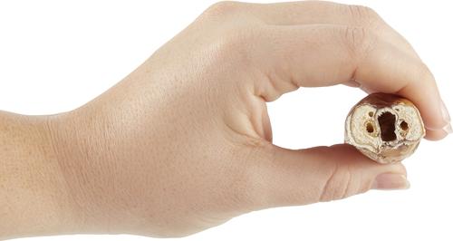 Show full view: Bones & Chews Made in USA 6" Twisted Bully Stick Dog Treat, 3 count slide 4 of 8