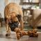 Show in main carousel: Bones & Chews Made in USA Beef Femur Dog Treat, 1 count slide 5 of 10