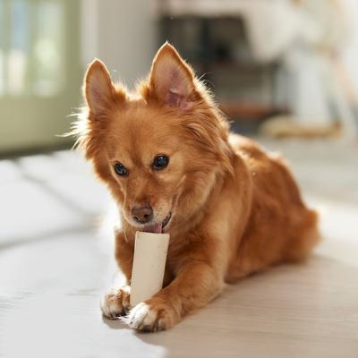 Show full view: Bones & Chews Made in USA Beef Flavored Filled Bone Dog Treats, 1 count slide 5 of 8