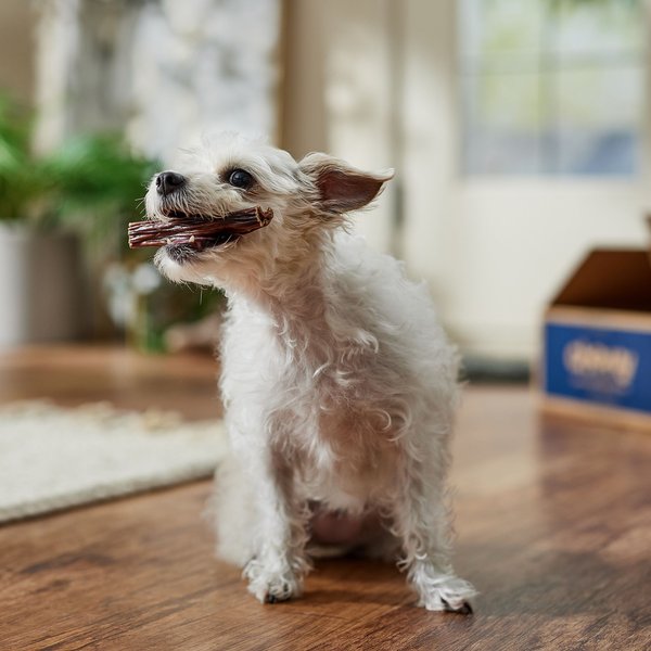 Bones & Chews Made in USA Beef Gullet Dog Treats