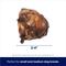 Show in main carousel: Bones & Chews Made in USA Beef Knee Caps Dog Treats, 6 count slide 3 of 9