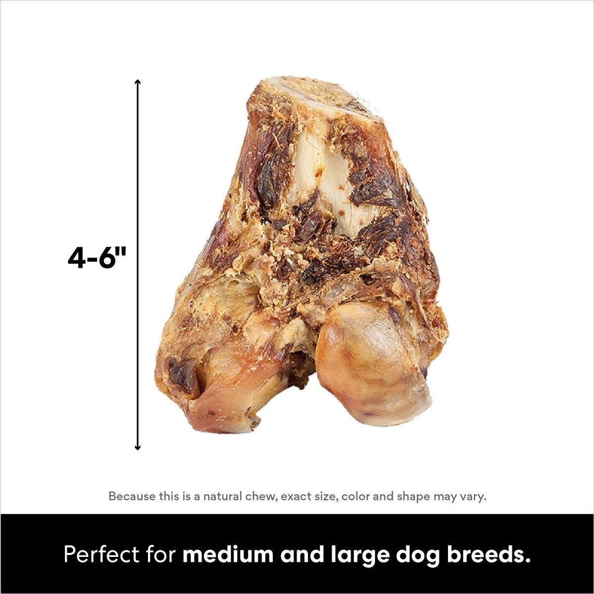 BONES & CHEWS Made in USA Beef Knuckle Bone Dog Treat, 1 count - Chewy.com