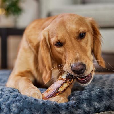 Show full view: Bones & Chews Made in USA Beef Rib Bone 6" Dog Treat, 6 count slide 4 of 9