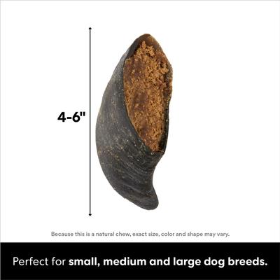 Show full view: Bones & Chews Made in USA Cheese & Bacon Flavored Filled Beef Hooves Dog Treats, 5 count slide 3 of 8