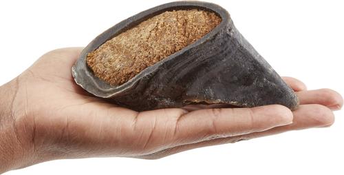 Show full view: Bones & Chews Made in USA Cheese & Bacon Flavored Filled Beef Hooves Dog Treats, 5 count slide 4 of 8