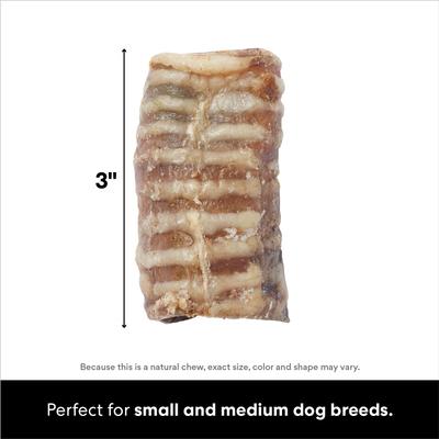 Show full view: Bones & Chews Made in USA Cheese & Bacon Flavored Filled Beef Trachea Dog Treats, 2 count slide 3 of 8