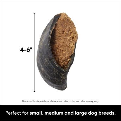 Show full view: Bones & Chews Made in USA  Chicken & Rice Flavored Filled Beef Hooves Dog Treats, 5 count slide 3 of 10