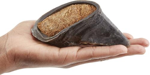 Show full view: Bones & Chews Made in USA  Chicken & Rice Flavored Filled Beef Hooves Dog Treats, 5 count slide 4 of 10