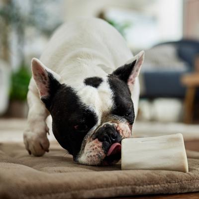 Show full view: Bones & Chews Made in USA Chicken & Rice Flavored Filled Bone Dog Treats, 5 count slide 5 of 8