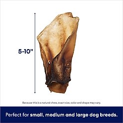 Bones & Chews Made in USA Cow Ears Dog Treats, 1 count slide 2 of 6
