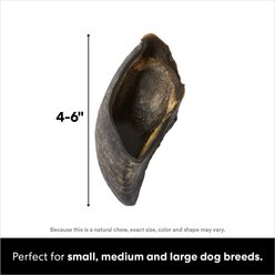 Bones & Chews Made in USA Beef Hooves Dog Treat, 10 count slide 2 of 6