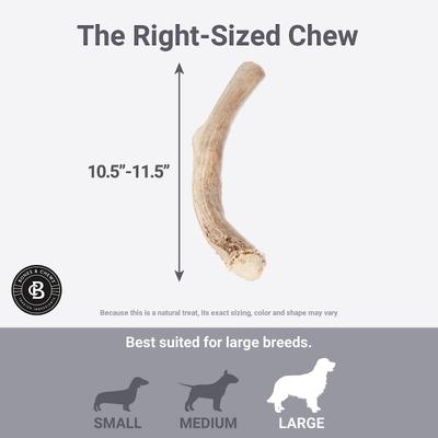 Show full view: Bones & Chews Made in USA Deer Antler Dog Chew, XX-Large: 10.5 - 11.5-in slide 6 of 9