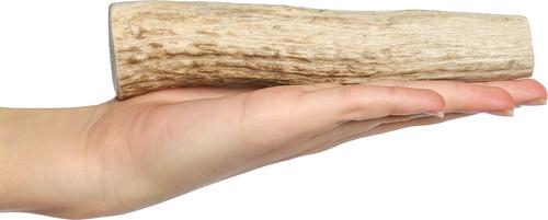 Show full view: Bones & Chews Made in USA Deer Antler Dog Chew, Medium: 6 - 7.5-in slide 3 of 10