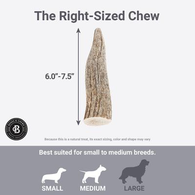 Show full view: Bones & Chews Made in USA Deer Antler Dog Chew, Medium: 6 - 7.5-in slide 6 of 10