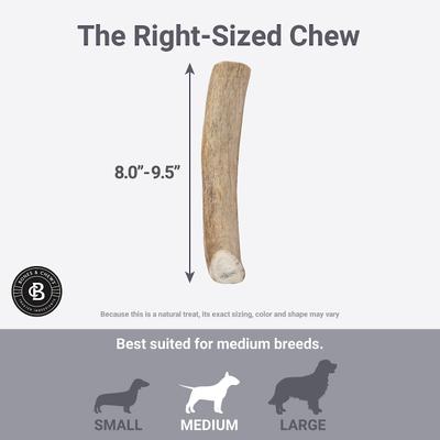 Show full view: Bones & Chews Made in USA Deer Antler Dog Chew, Large: 8 - 9.5-in slide 6 of 10