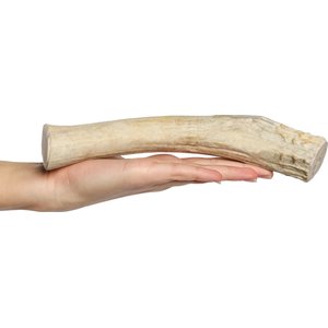 Bones & Chews Made in USA Deer Antler Dog Chew, X-Large: 9.5 - 10.5 in