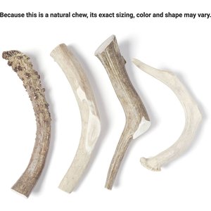 Bones & Chews Made in USA Deer Antler Dog Chew, X-Large: 9.5 - 10.5 in