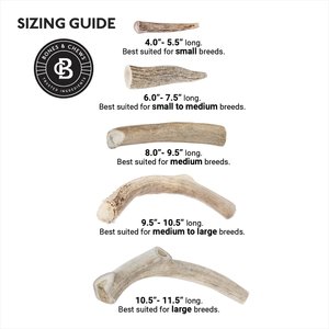 Bones & Chews Made in USA Deer Antler Dog Chew, X-Large: 9.5 - 10.5 in