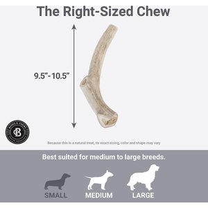 Bones & Chews Made in USA Deer Antler Dog Chew, X-Large: 9.5 - 10.5 in