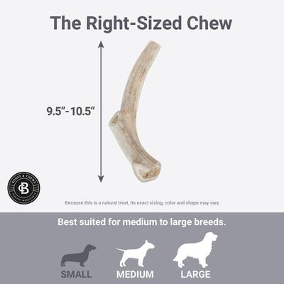 Show full view: Bones & Chews Made in USA Deer Antler Dog Chew, X-Large: 9.5 - 10.5-in slide 6 of 10