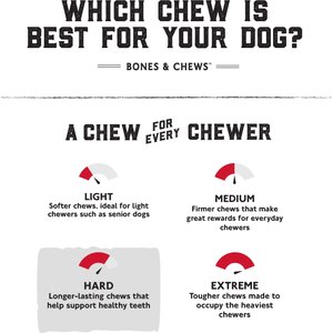 Bones & Chews Made in USA Deer Antler Dog Chew, X-Large: 9.5 - 10.5 in