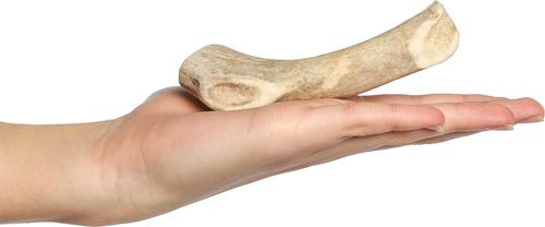 Show full view: Bones & Chews Made in USA Elk Antler Dog Chew, Small: 4.0 - 5.5-in slide 3 of 11