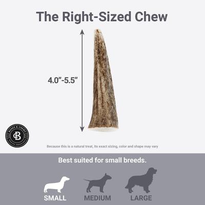 Show full view: Bones & Chews Made in USA Elk Antler Dog Chew, Small: 4.0 - 5.5-in slide 6 of 11