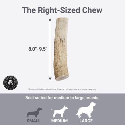 Show full view: Bones & Chews Made in USA Elk Antler Dog Chew, Large: 8.0 - 9.5-in slide 6 of 10