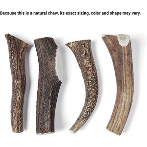 Bones & Chews Made in USA Elk Antler Dog Chew, X-Large: 9.5 - 10.5-in