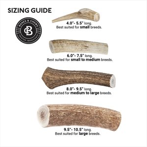 Bones & Chews Made in USA Elk Antler Dog Chew, X-Large: 9.5 - 10.5-in