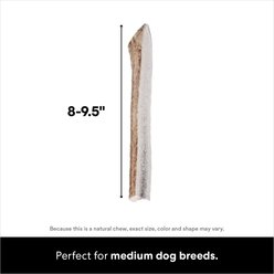 Bones & Chews Made in USA Elk Antler Split Dog Chew, Large: 8.0 - 9.5-in slide 2 of 8