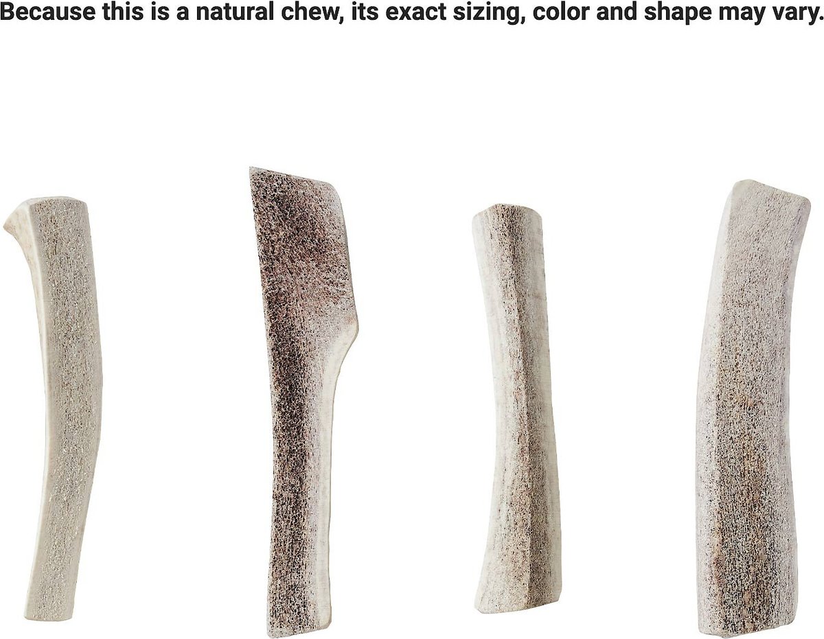 Bones & Chews Made in USA Elk Antler Split Dog Chew