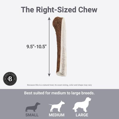Show full view: Bones & Chews Made in USA Elk Antler Split Dog Chew, X-Large: 9.5 - 10.5 in slide 6 of 10