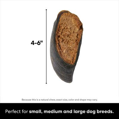 Show full view: Bones & Chews Made in USA Peanut Butter Flavored Filled Beef Hooves Dog Treats, 1 count slide 3 of 9