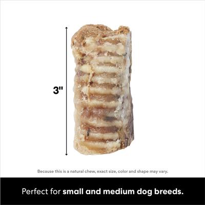 Show full view: Bones & Chews Made in USA Peanut Butter Flavored Filled Beef Trachea Dog Treats, 2 count slide 3 of 9