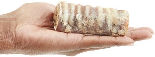 Show full view: Bones & Chews Made in USA Peanut Butter Flavored Filled Beef Trachea Dog Treats, 2 count slide 4 of 9