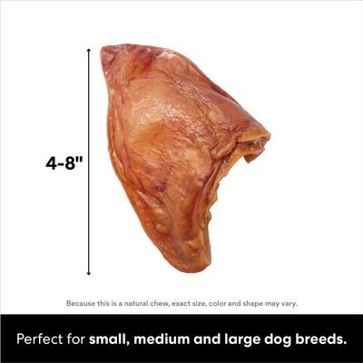 Show full view: Bones & Chews Made in USA Pig Ear Chews Dog Treats, 1 count slide 3 of 8