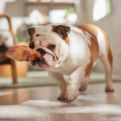 Show full view: Bones & Chews Made in USA Pig Ear Chews Dog Treats, 10 count slide 5 of 8