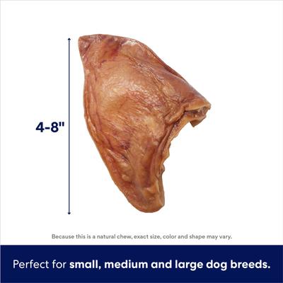 Show full view: Bones & Chews Made in USA Pig Ear Chews Dog Treats, 2 count bundle slide 3 of 8