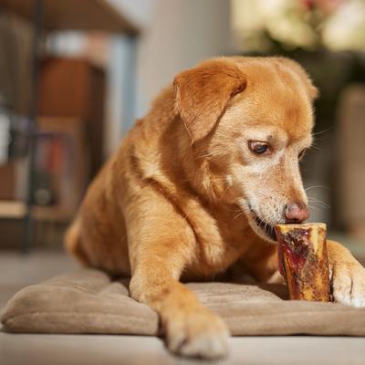 Show full view: Bones & Chews Made in USA Roasted Marrow Bone 3" Dog Treat, 1 count slide 5 of 10