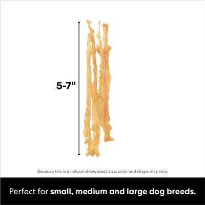 Show full view: Bones & Chews Made in USA Turkey Tendon Dog Treats, 16-oz bag slide 3 of 8