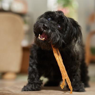 Show full view: Bones & Chews Made in USA Turkey Tendon Dog Treats, 4-oz bag slide 5 of 8