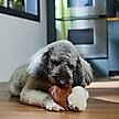 Show in main carousel: Bones & Chews Pig Ear Chews Dog Treats, 1 count slide 5 of 9