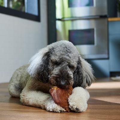 Show full view: Bones & Chews Pig Ear Chews Dog Treats, 1 count slide 5 of 9