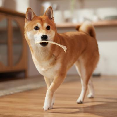 Show full view: Bones & Chews Rawhide Chips Dog Treats, 32-oz bag slide 4 of 6