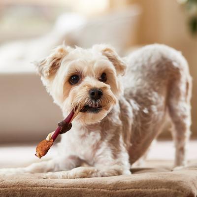 Show full view: Bones & Chews Rawhide Triple Flavor Kabobs Dog Treats, 10 count slide 4 of 6