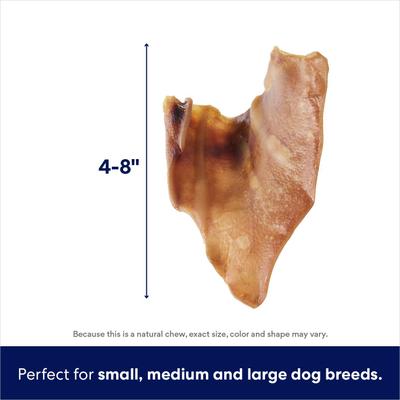 Show full view: Bones & Chews Roasted Marrow Bone 6" + Pig Ear Chews Dog Treats slide 7 of 9