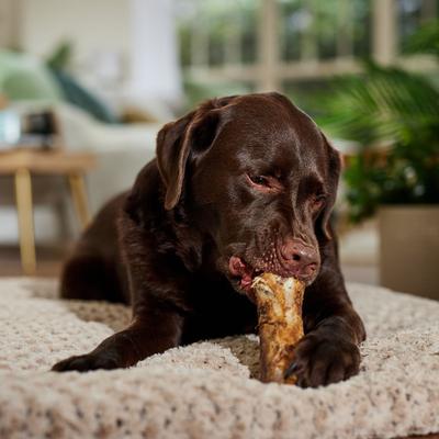 Show full view: Bones & Chews Roasted Marrow Bone Dog Treat, 6", 1 count slide 5 of 9