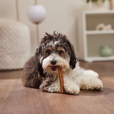 Show full view: Bones & Chews Small Dog Natural Chews Variety Pack, 16 count slide 9 of 10