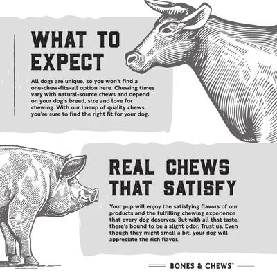 Show full view: Bones & Chews Standard Bully Stick 12" Dog Treats, case of 35 slide 8 of 9